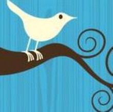 Brafton has reported surging Quora membership and increasing ad opportunities on Facebook, but a new eMarketer report indicates that Twitter will not be left in the dust this year. Ad revenues on the microblogging site are expected to surpass $150 million in 2011. EMarketer predicts that Twitter will see an annual revenue gain of more [...]