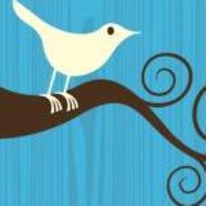 The Oxford English Dictionary just added "Tweet," a sign that social content has long-lasting value.