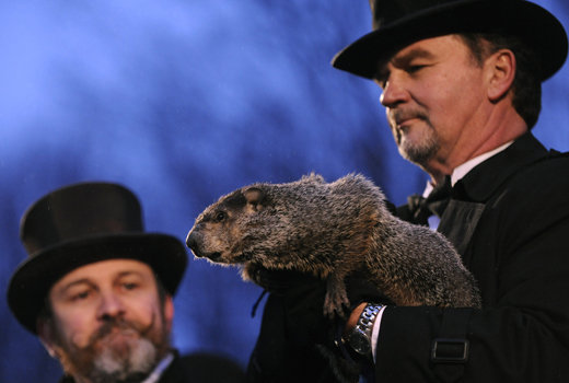 On Groundhog Day, countless people searched for incorrect variations of Punxsutawney Phil's name, to the point where "Punksatony Phil" ranked on Google search trends - but proper spellings count for SEO. On Groundhog Day, countless people searched for incorrect variations of Punxsutawney Phil's name, to the point where "Punksatony Phil" ranked on Google search trends - but proper spellings count for SEO.