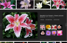Google Image Search arrows might cost brands' web content clicks and site traffic.
